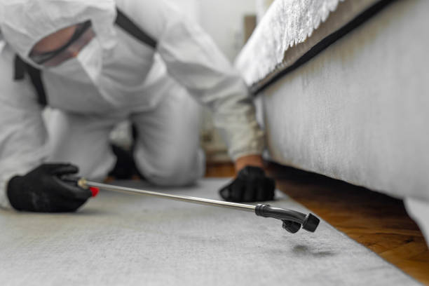 Professional Bed Bug Control technician working in Roanoke city County, VA